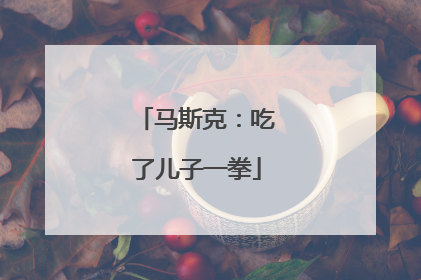 马斯克：吃了儿子一拳